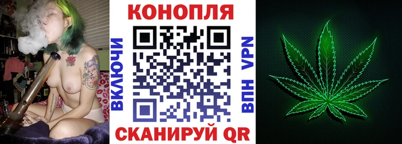 Канабис планчик Плёс
