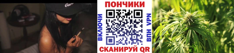 Бошки Шишки конопля Плёс